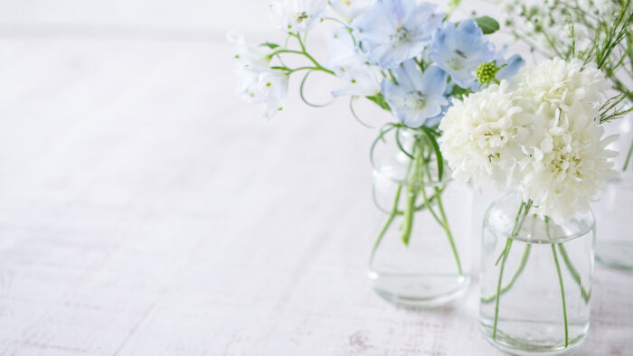 爽やかな心を象徴する青い花と白い花