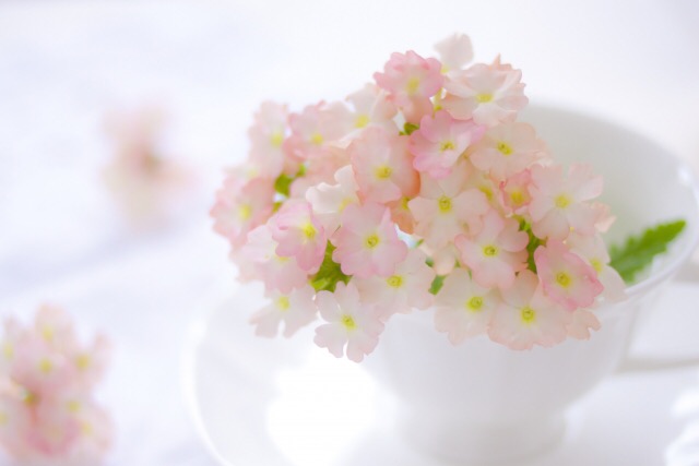 白い花瓶に入ったピンク色の花