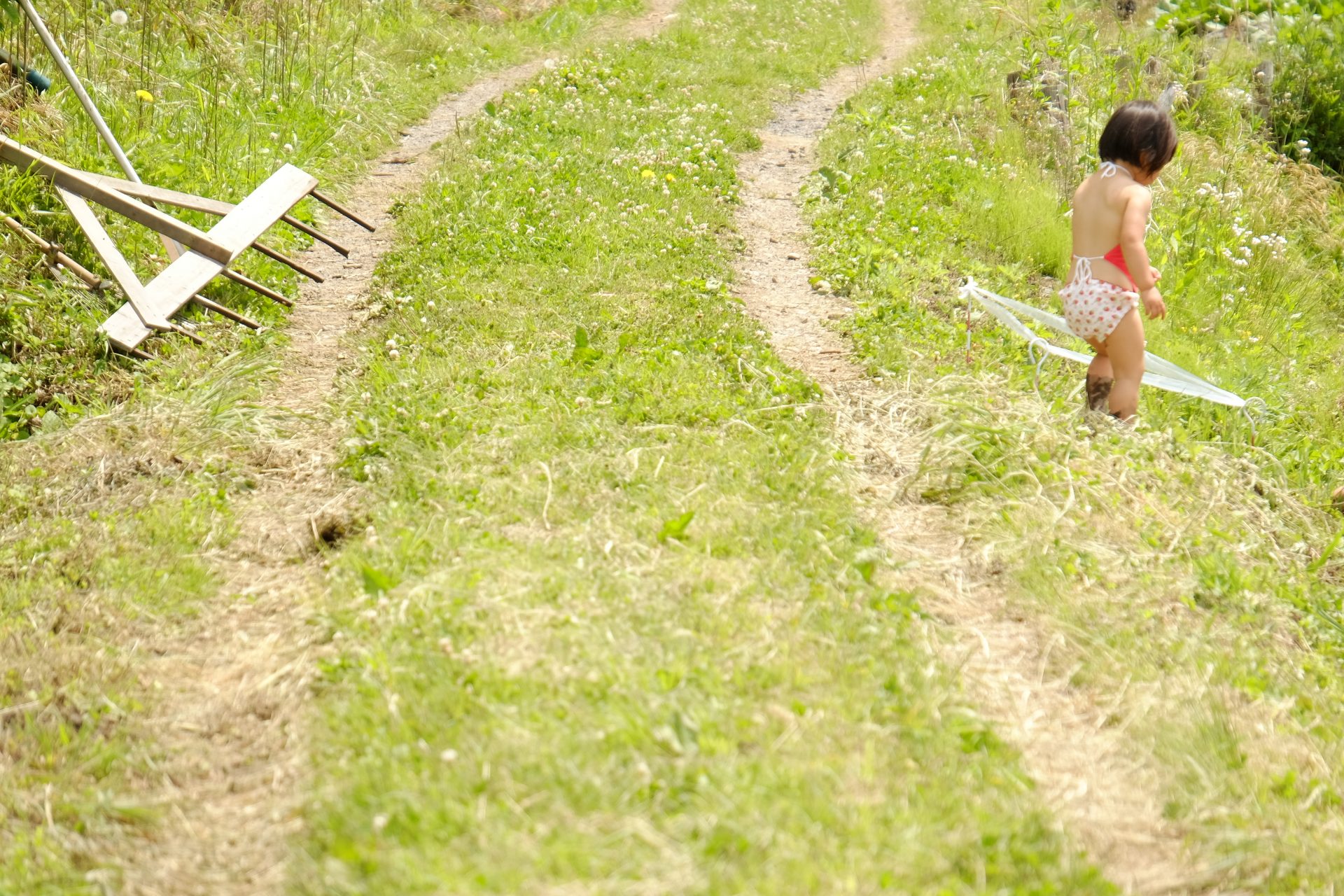 母の本音と、父のひとこと