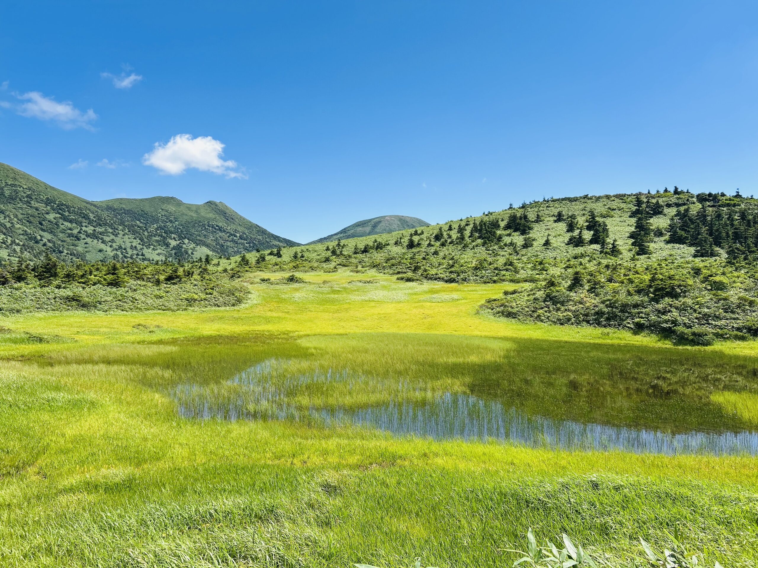 気功的パワースポット～八甲田山山頂の湿原～