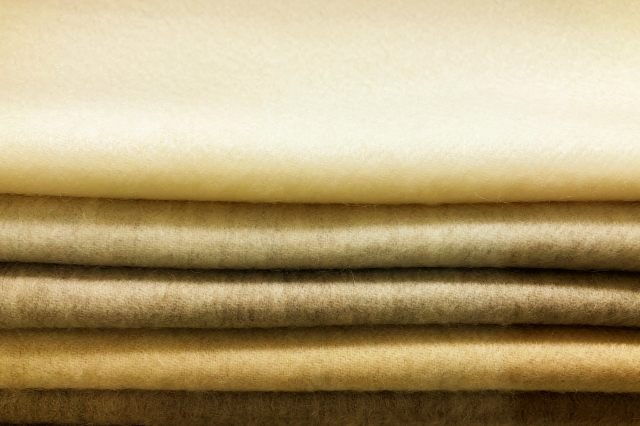 カシミヤは笑う