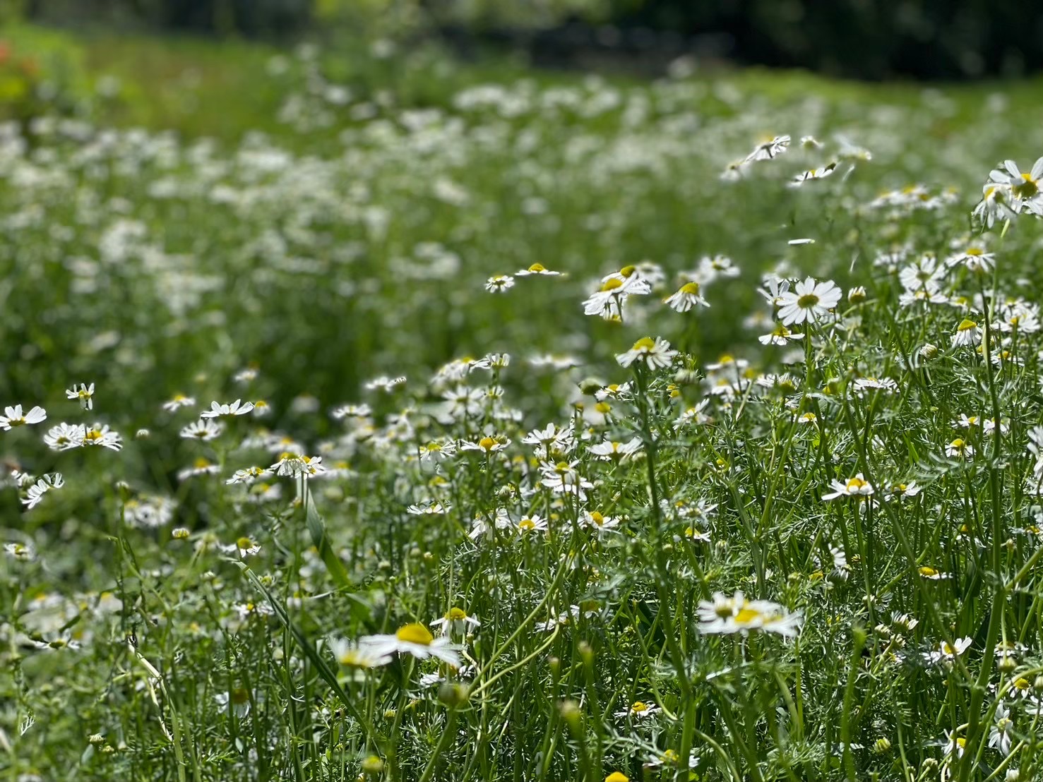 宇宙はいつも＜ちょうどよく＞美しい