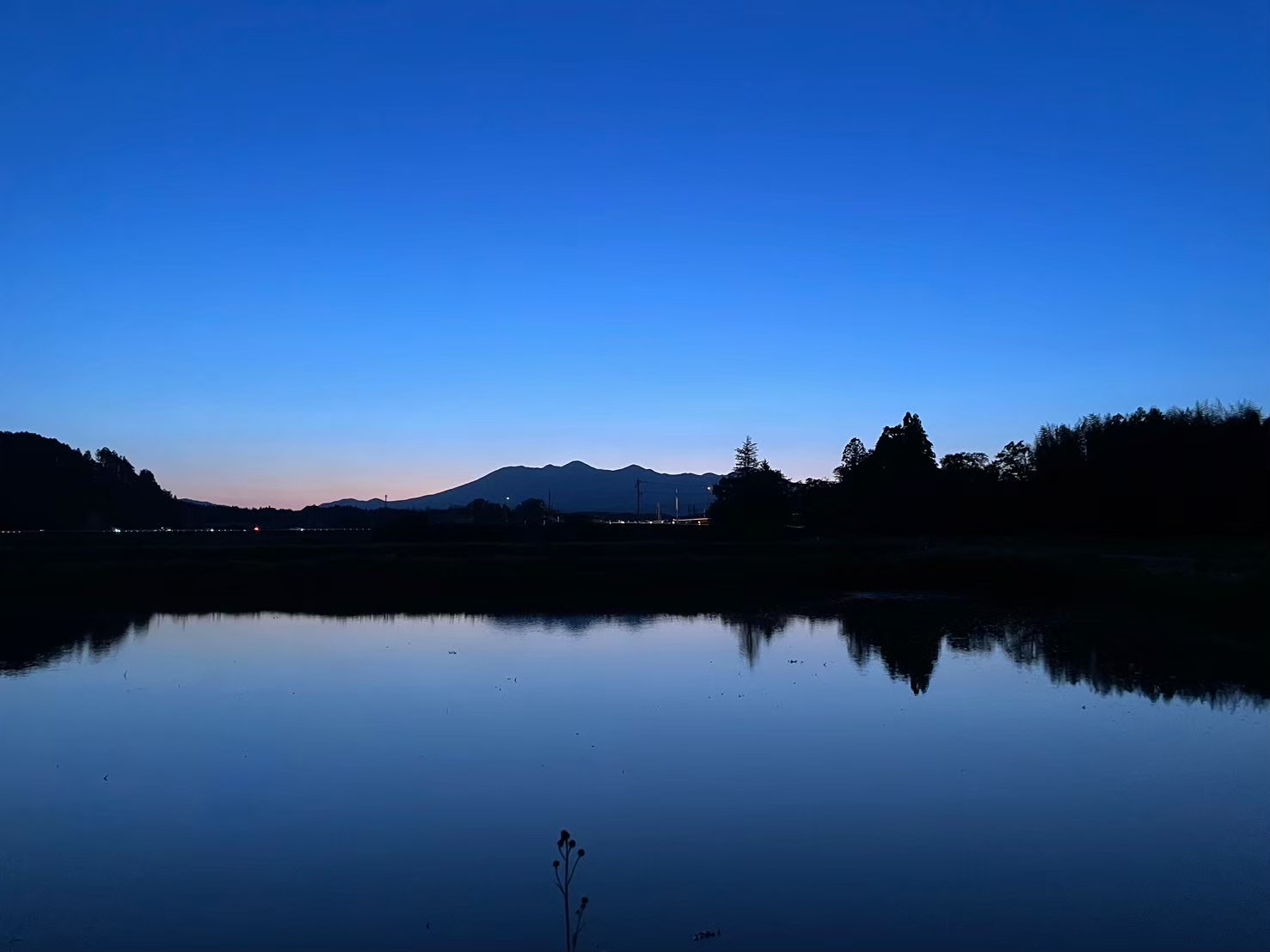 食欲にまつわる＜欲＞の話