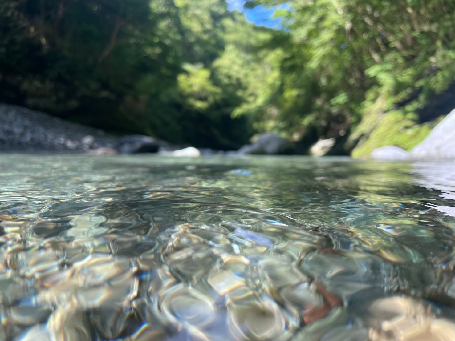 自然から離れない生き方