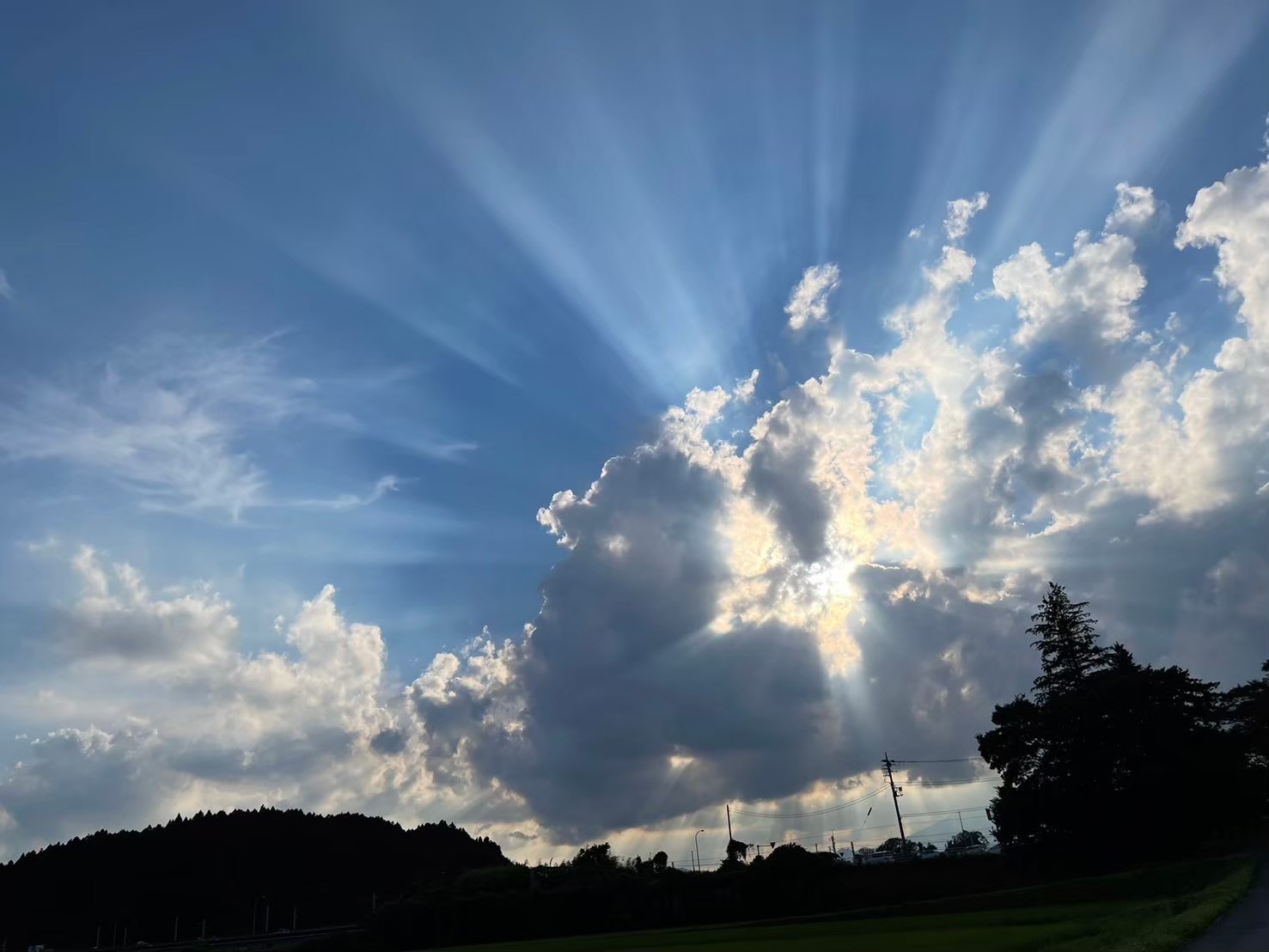 本気の失敗には意味がある