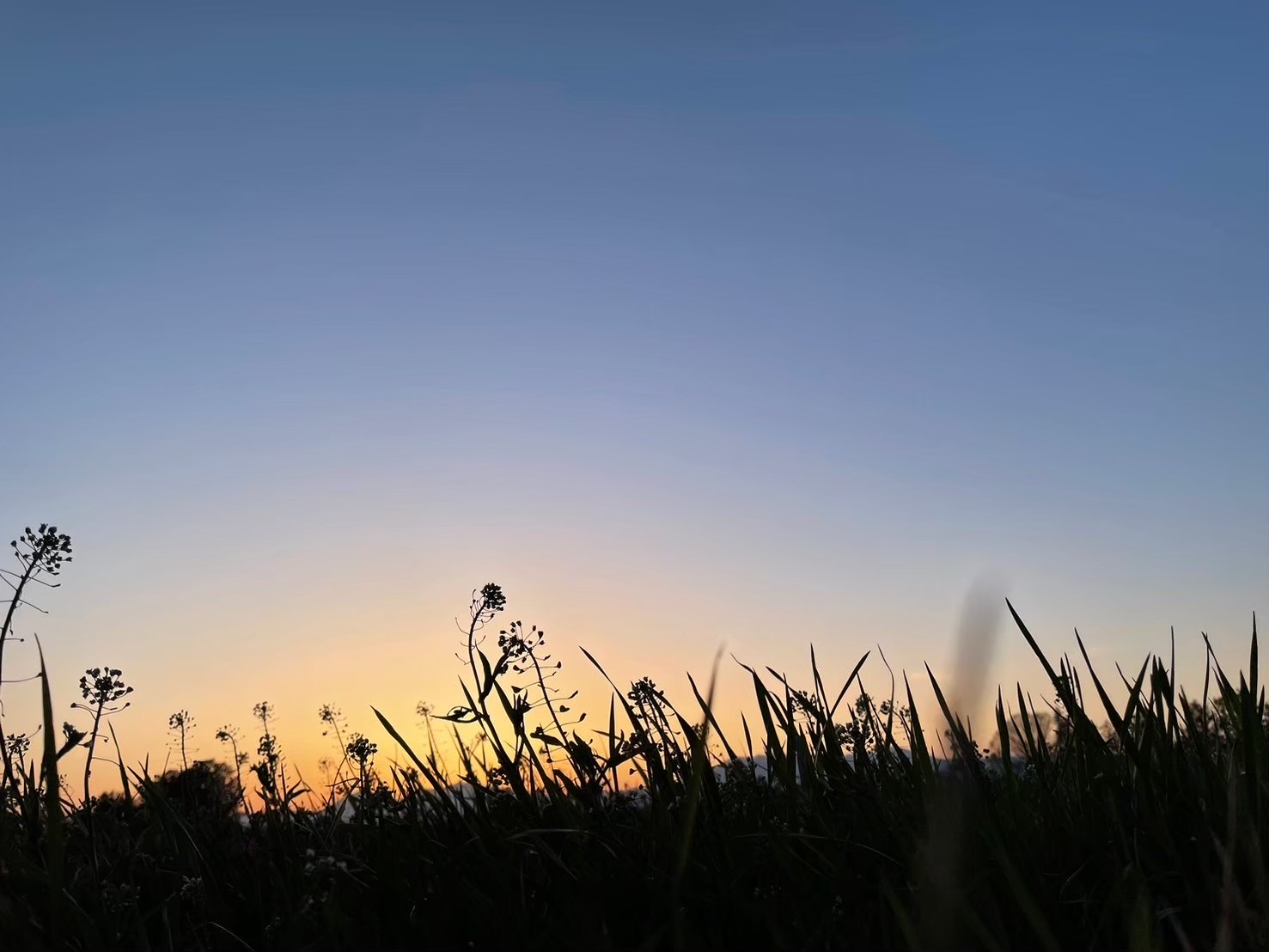 あなたの言葉におきかえてみて