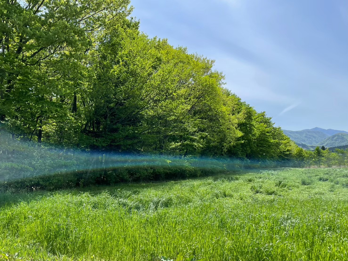余白から始まる、シンクロマネジメント
