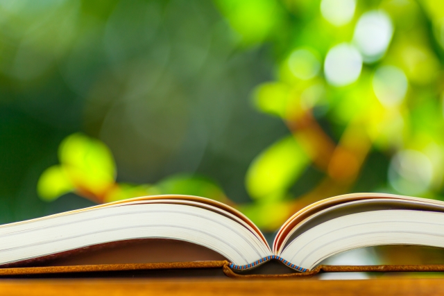 春分に結びなおす、見えないつながり