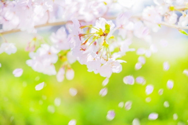 春分前のちいさな養生