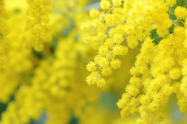 素敵な出会いは、動いた先に