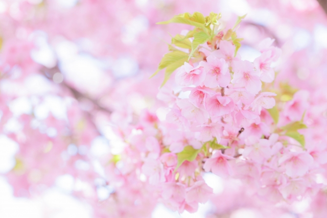 新月と春分、はじめりの出会い