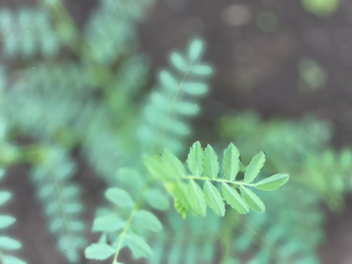 楽しむための＜余白＞