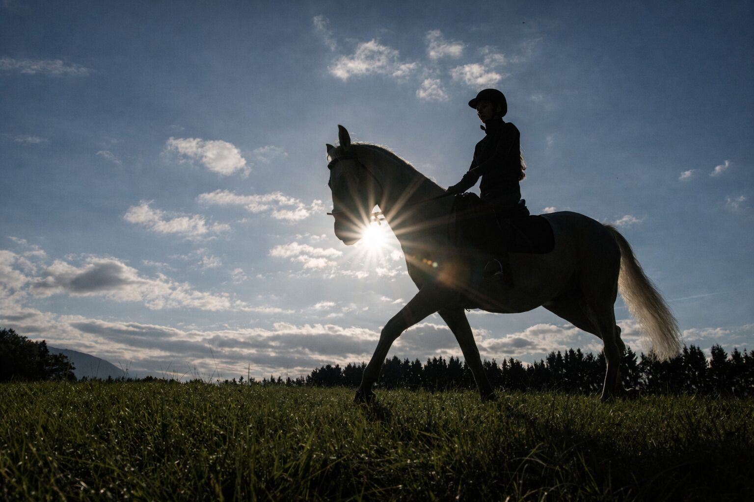 失敗を成長の糧に変えるコツ