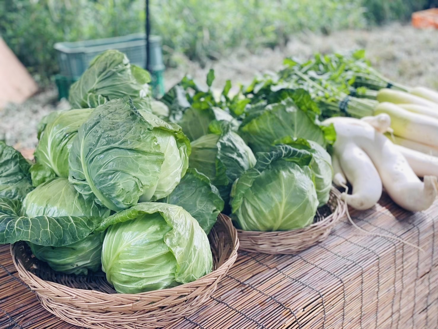 旬の食べ物には、そのとき必要なエネルギーがたっぷり