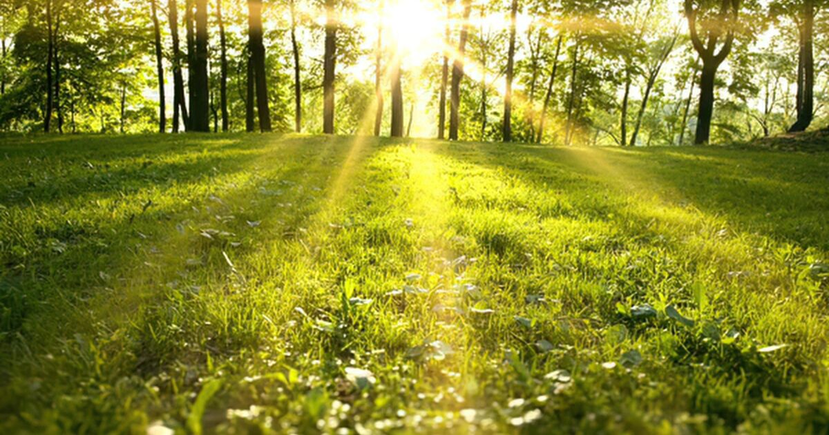 ほんものの情報は人が持っている